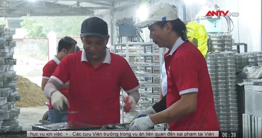 Sau khi chấp hành án phạt, cơ hội đã đến với những người lầm lỗi khi họ được giới thiệu đến Việt Hương, được doanh nghiệp đào tạo nghề và sau đó tiếp nhận vào làm việc.